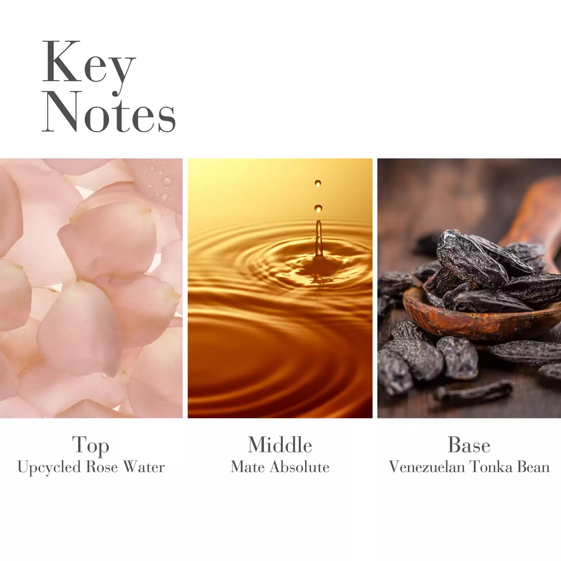 White Tea Body Water Cream - Image 9
