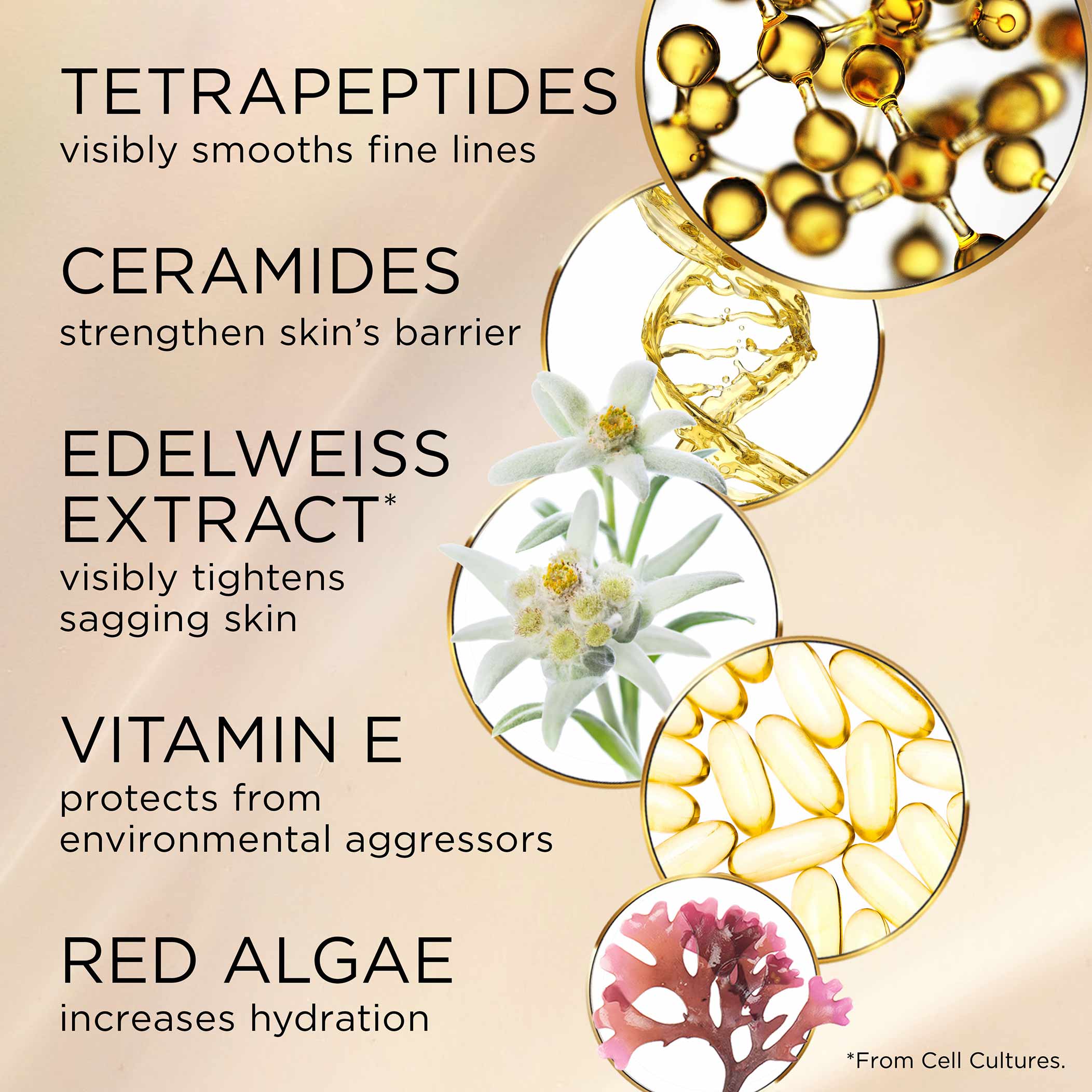 Advanced Ceramide Lift and Firm Day Cream SPF15 - Image 6