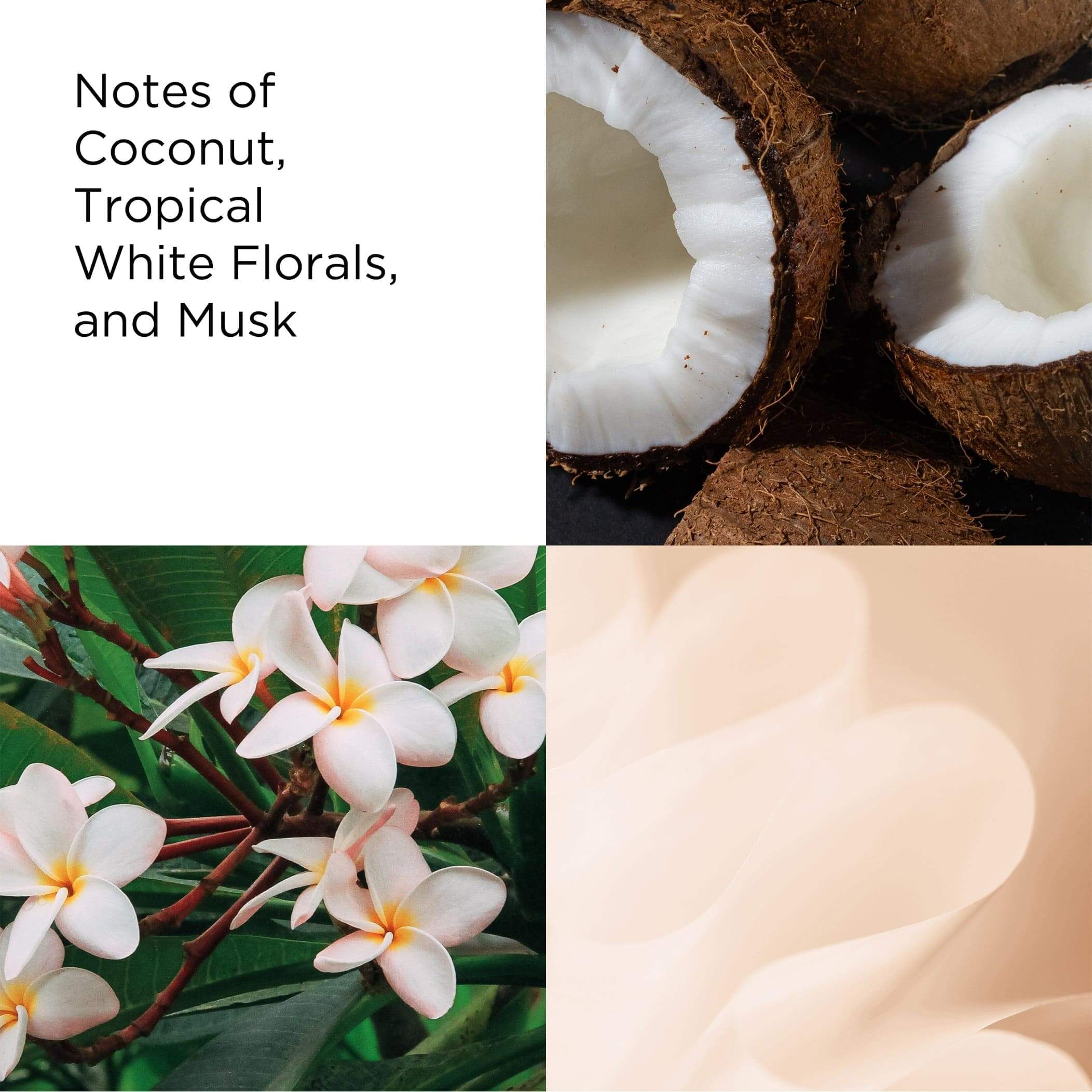 Green Tea Coconut Breeze Honey Drop Body Cream - Image 4