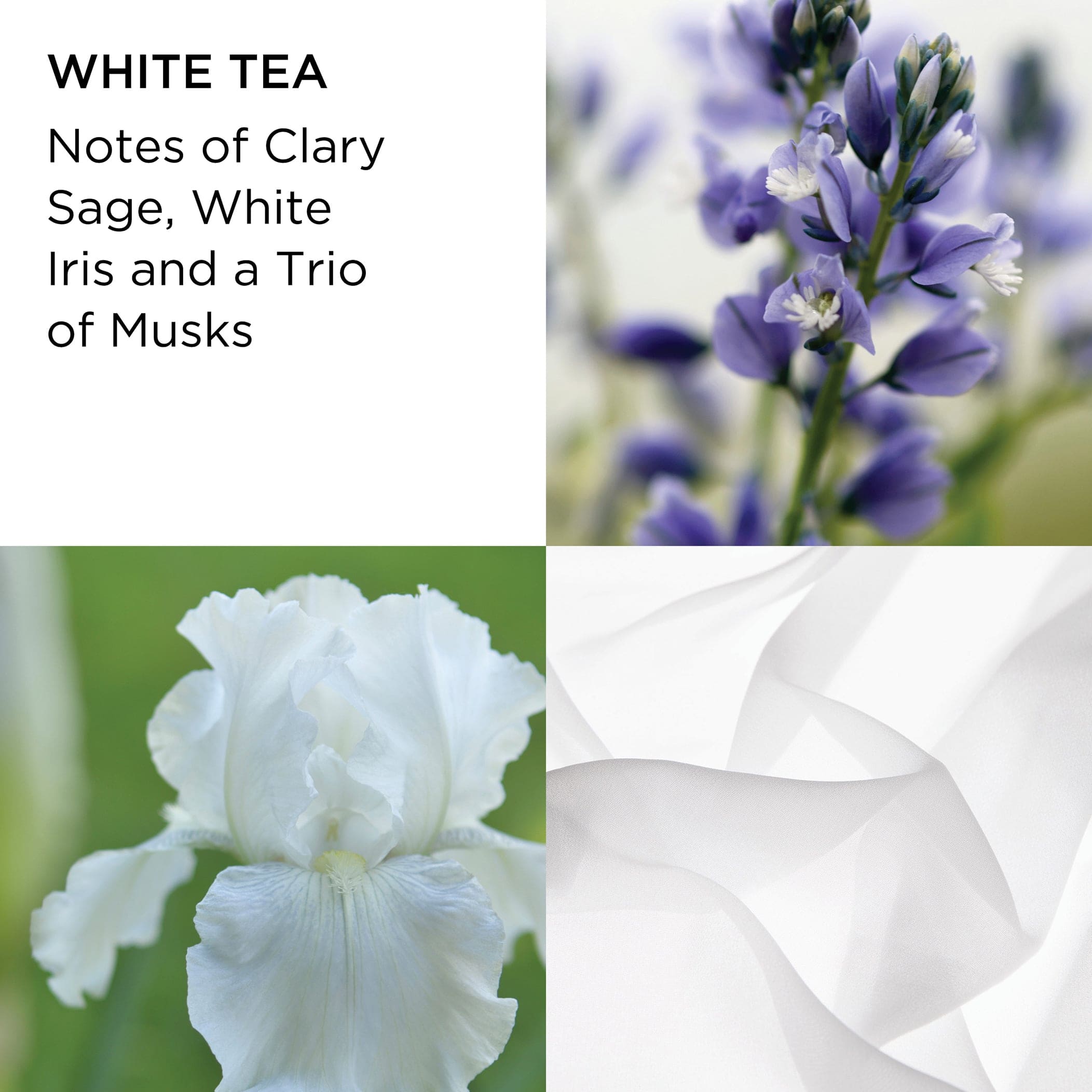 White Tea Pure Indulgence Body Cream - Image 2