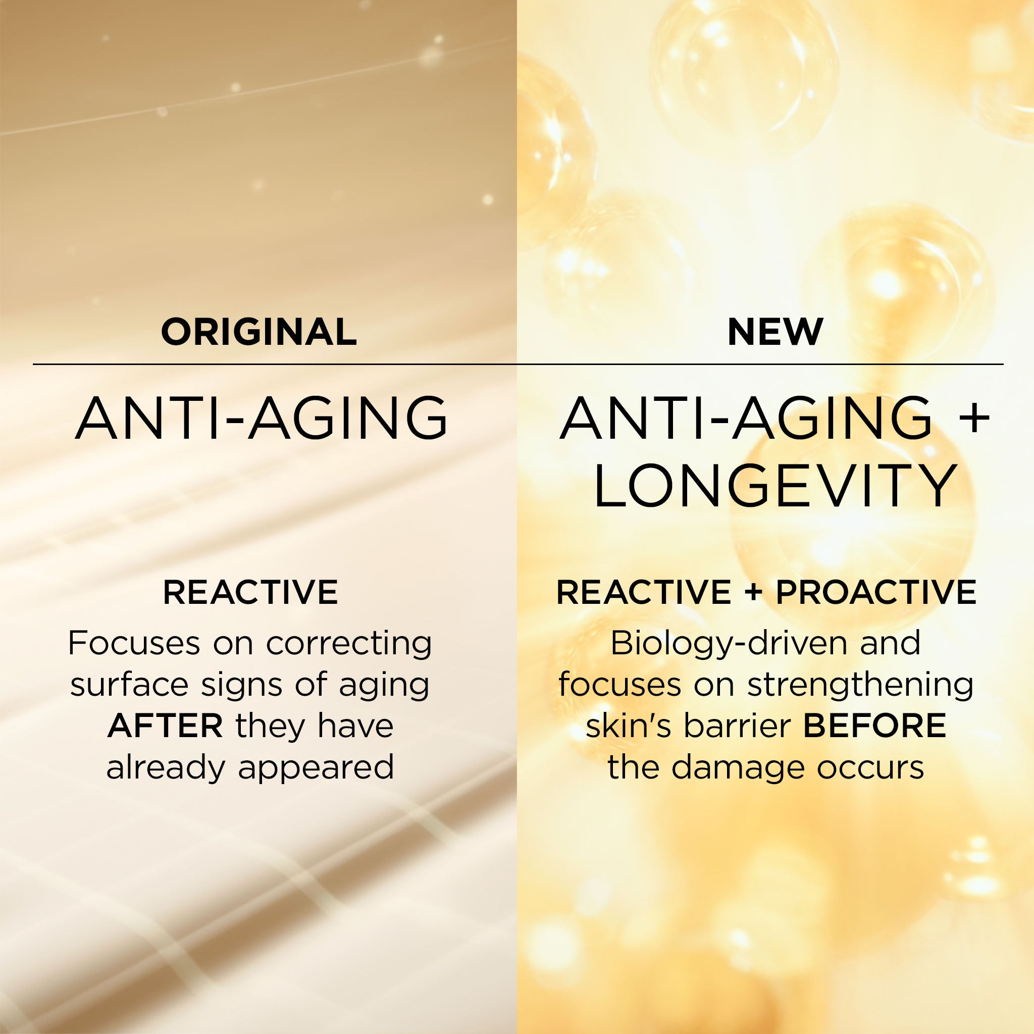 Advanced Gold Ceramide Capsules Daily Youth Restoring Serum - Image 3