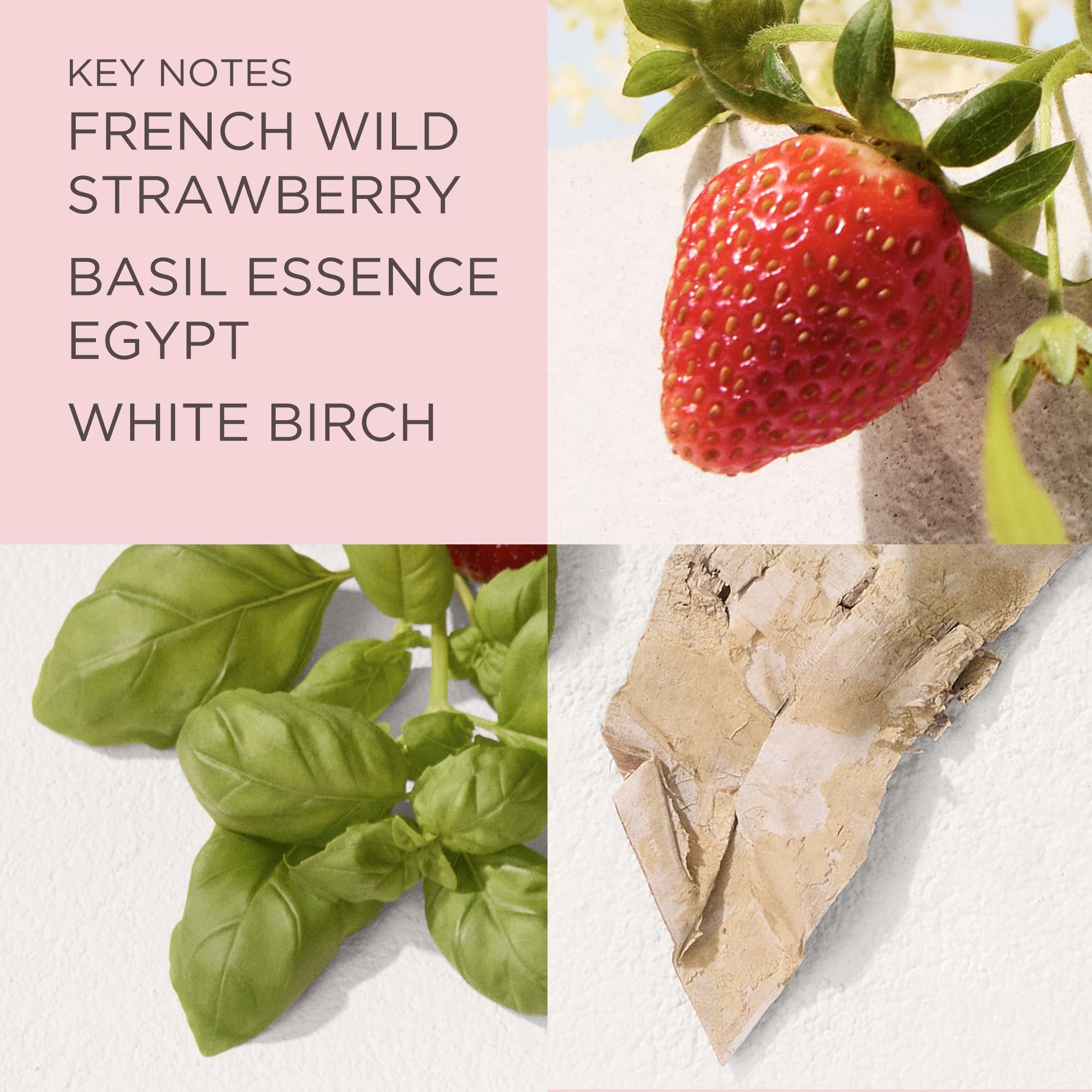 Green Tea Strawberry Basil Eau de Toilette - Image 3