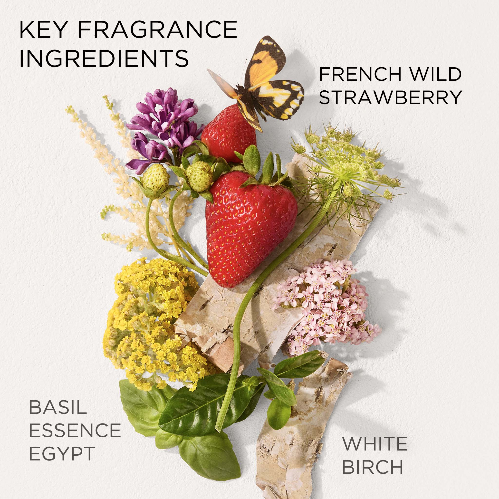Green Tea Strawberry Basil Honey Drops Body Cream - Image 8