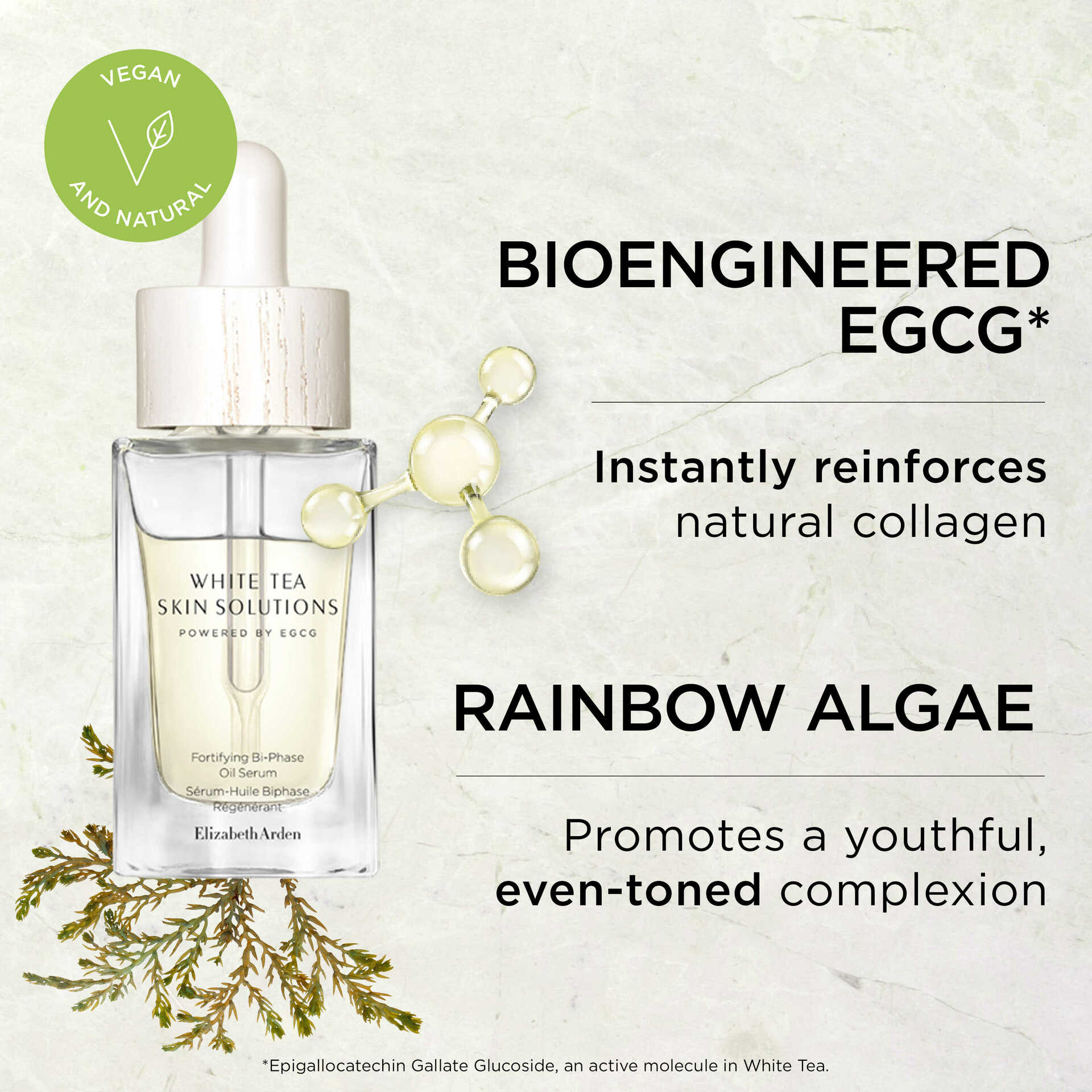 White Tea Skin Solutions Fortifying Bi-Phase Oil Serum - Image 8